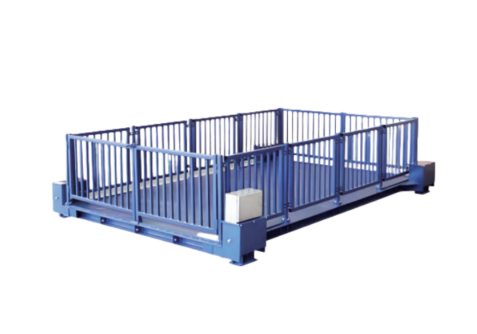 Electronic Platform Scale 24 Livestock breeding scenario