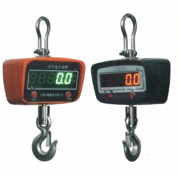 Crane Scale 1