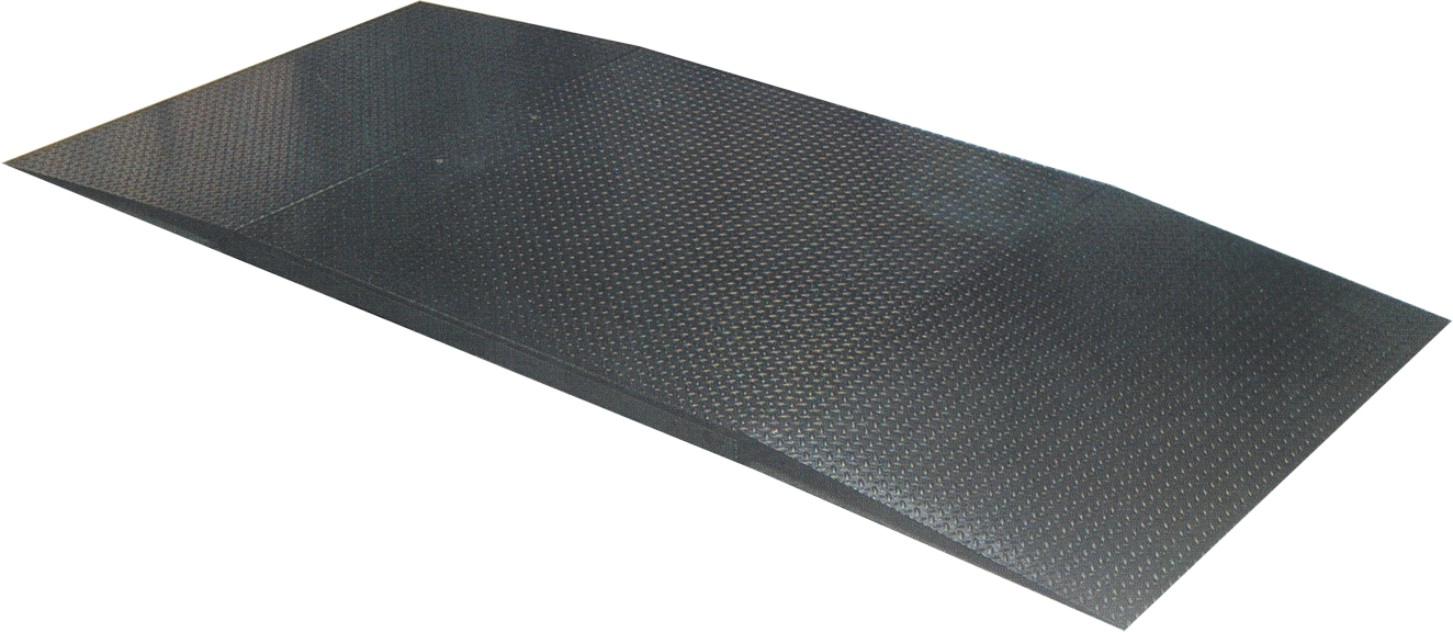 Small Weighbridge Platform Scale 3
