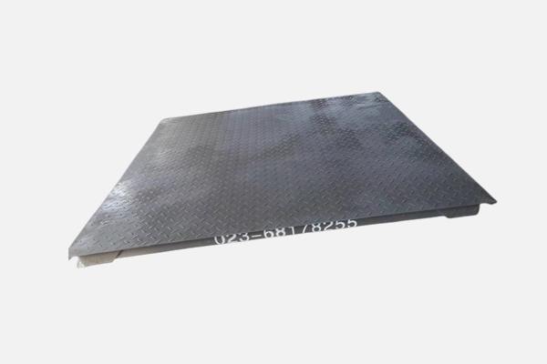 Small Weighbridge Platform Scale 4