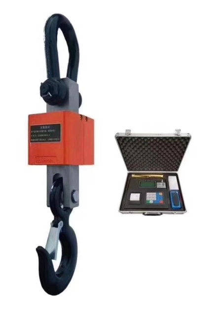 Crane Scale 8