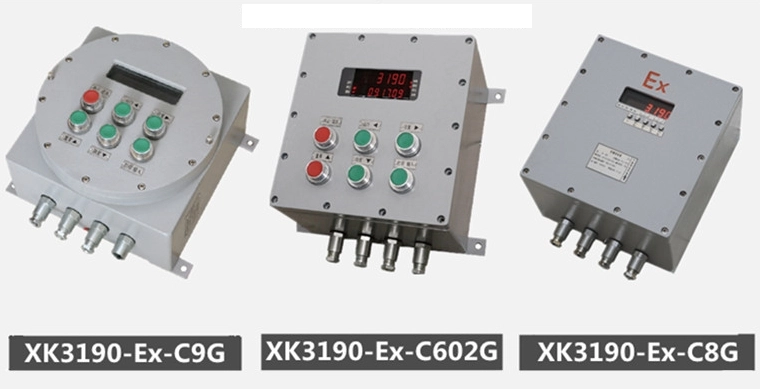 Explosion Proof Small Weighbridge11