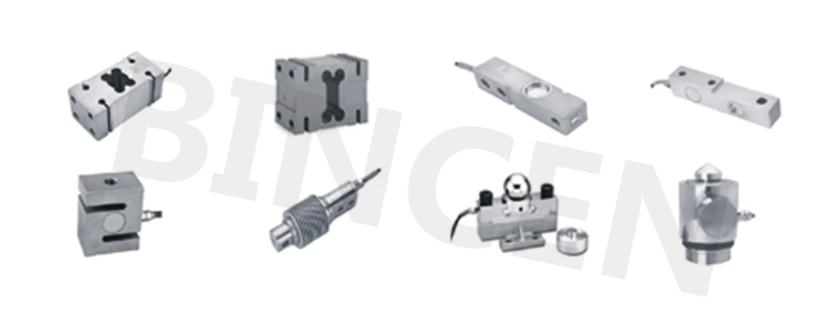 Explosion Proof Small Weighbridge13