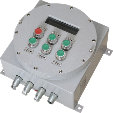 Explosion Proof Truck Scale10