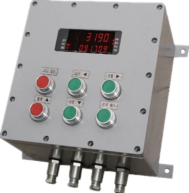 Explosion Proof Truck Scale11