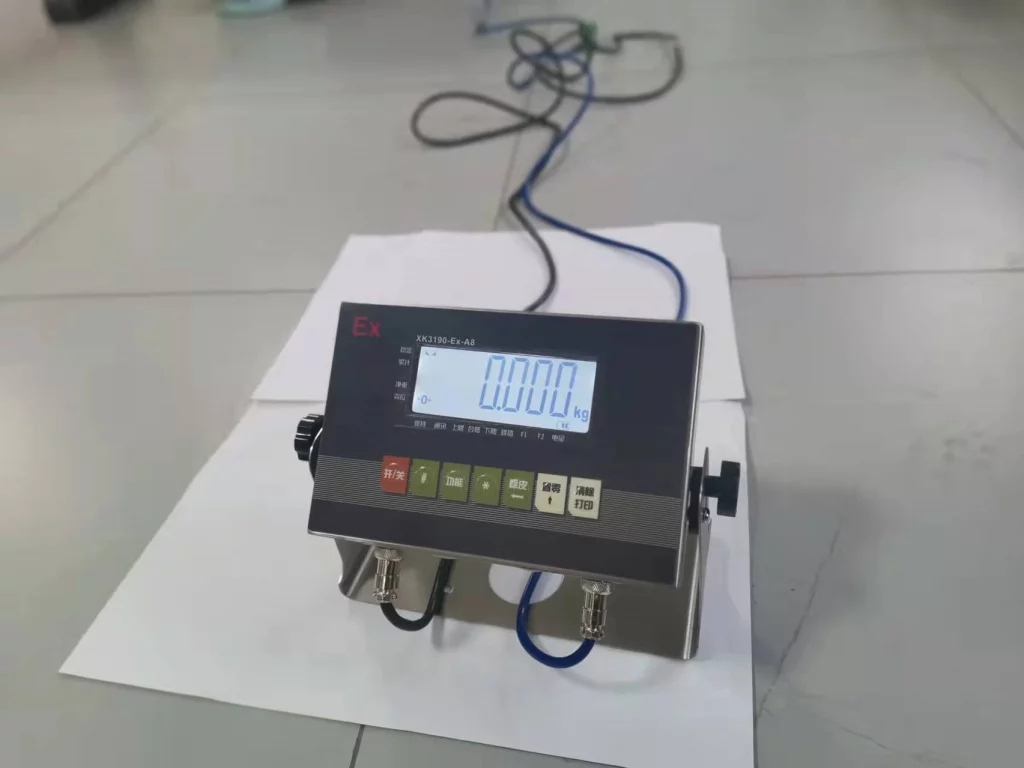 Explosion Proof Truck Scale4