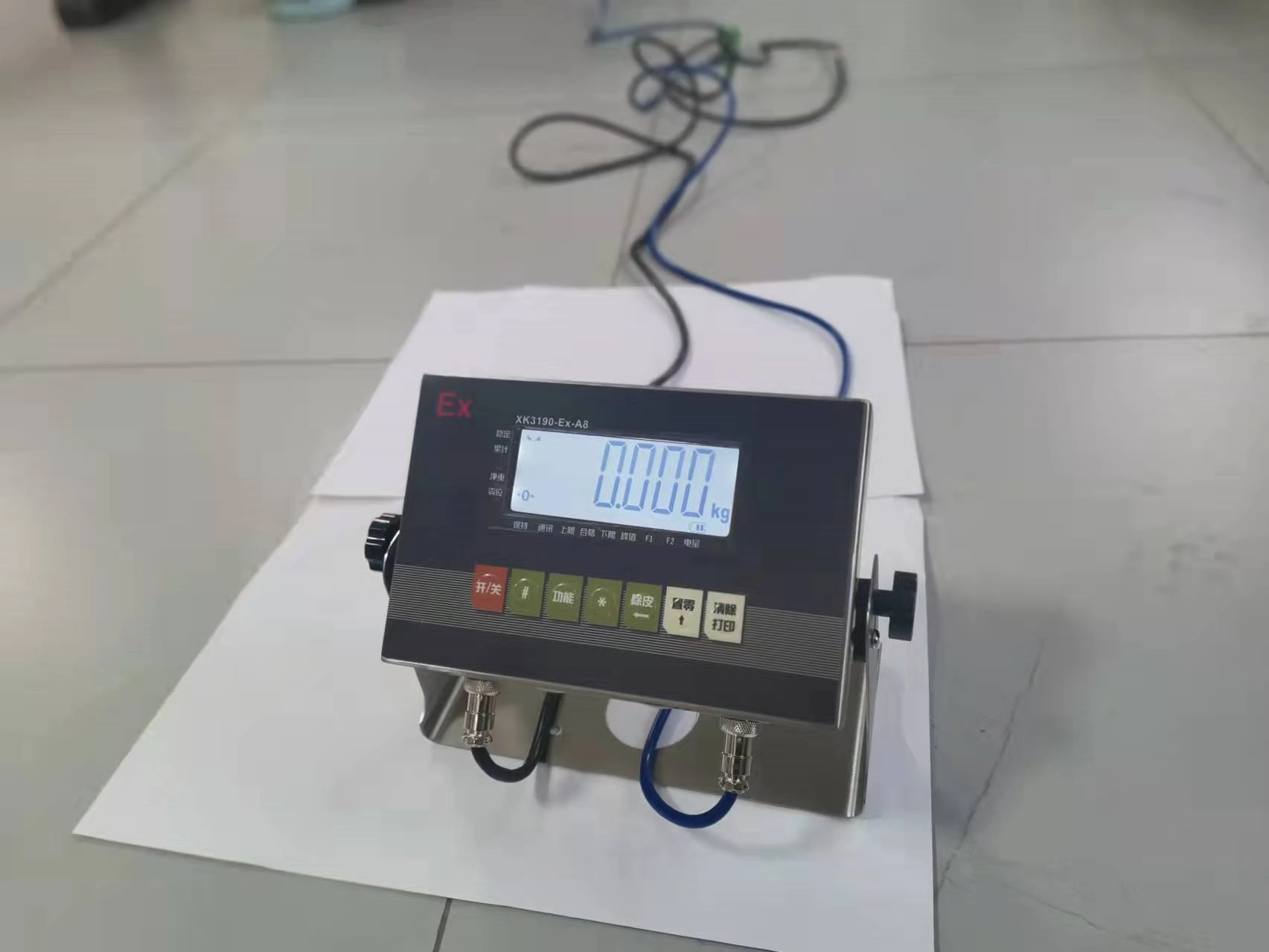 Explosion Proof Truck Scale4