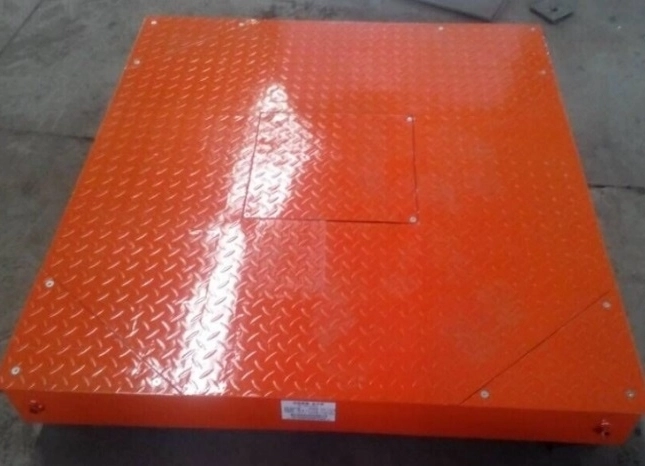 Industrial Floor Scale 9