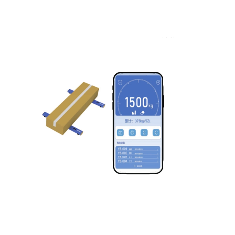 Portable Weighing Bar 9