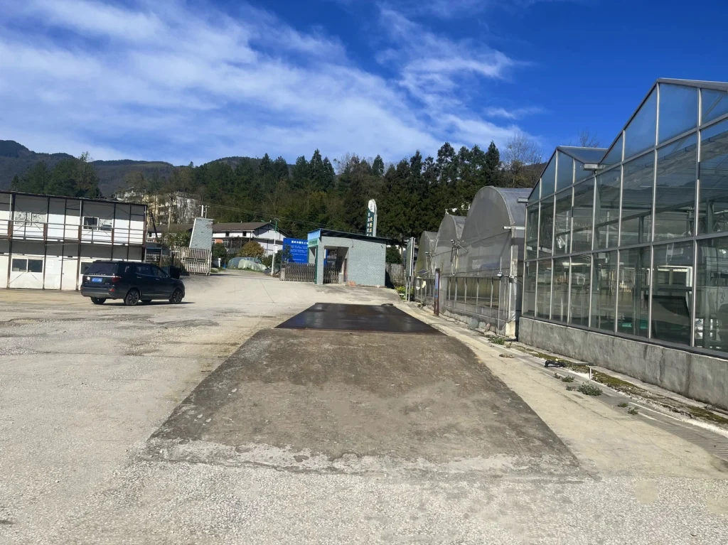 30 ton weighbridge 2