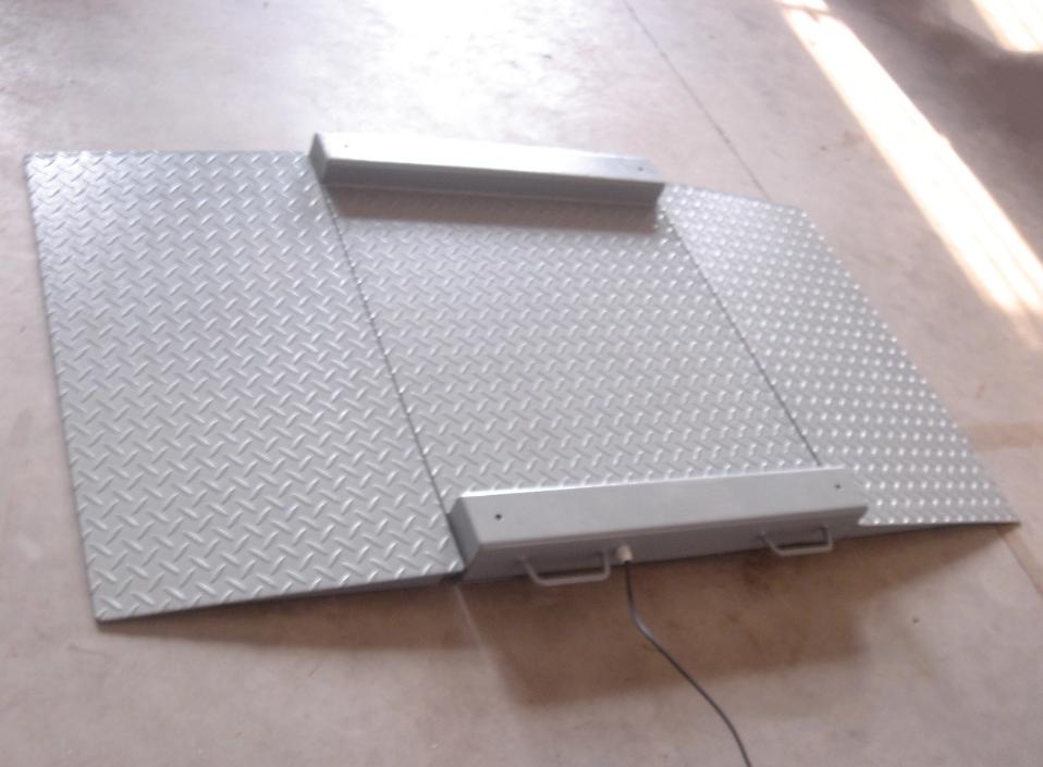 Low Platform Scale with Ramp