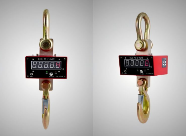 bincen crane scale