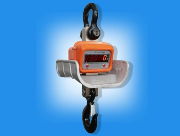 why choose crane scale