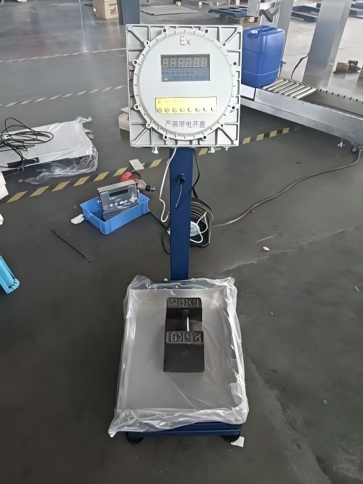 Gas and dust dual explosion-proof electronic platform scale